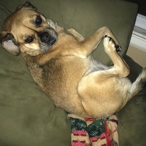 Meet your Posher, Kelly